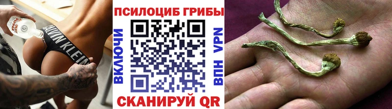 Псилоцибиновые грибы прущие грибы  Купить  Малоярославец 